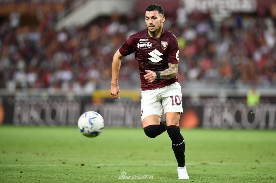 球迷的热烈 球迷的热烈