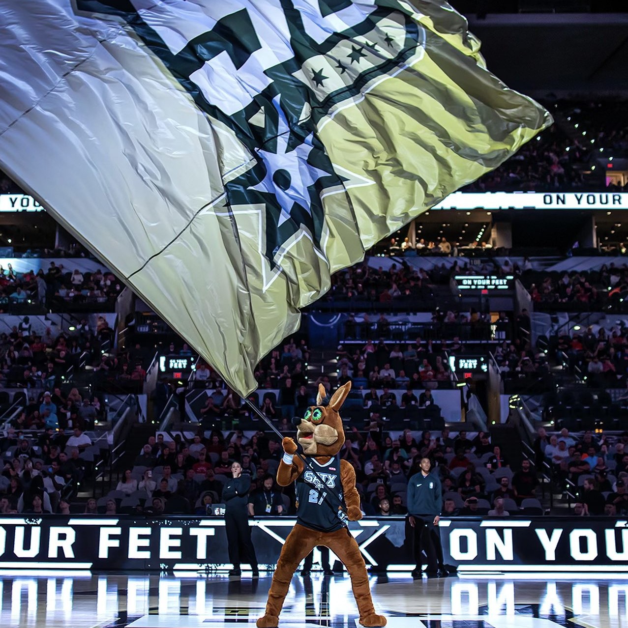 尤其是在需 尤其是在需